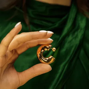 Bold Hoop earrings