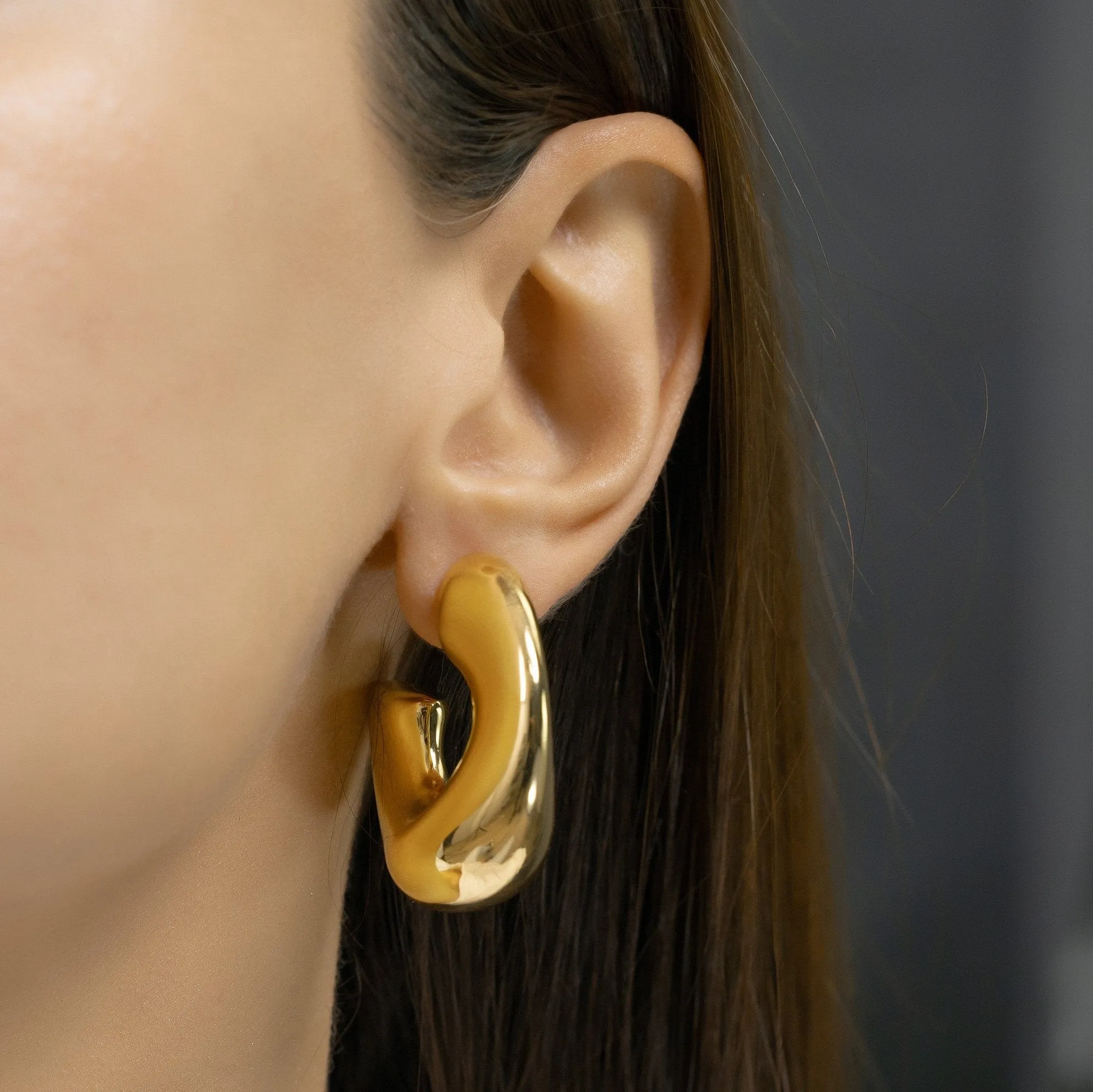 Bold Hoop earrings