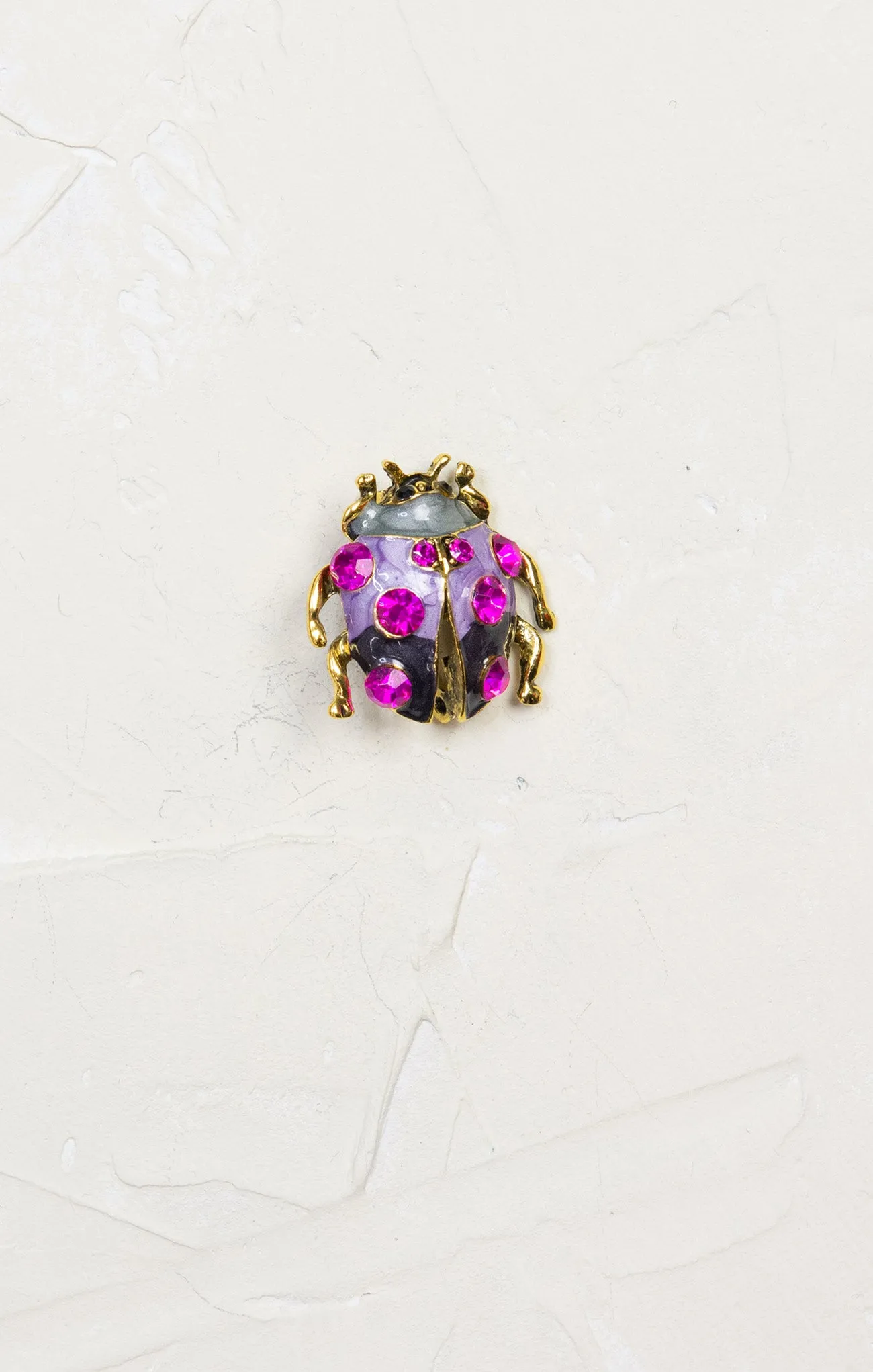 Colorful Ladybug Brooch