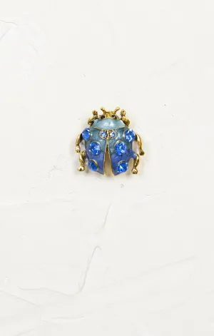 Colorful Ladybug Brooch