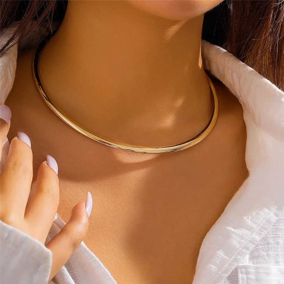 Flytonn-Whitney Vintage Iron Metal Torques Choker Necklace