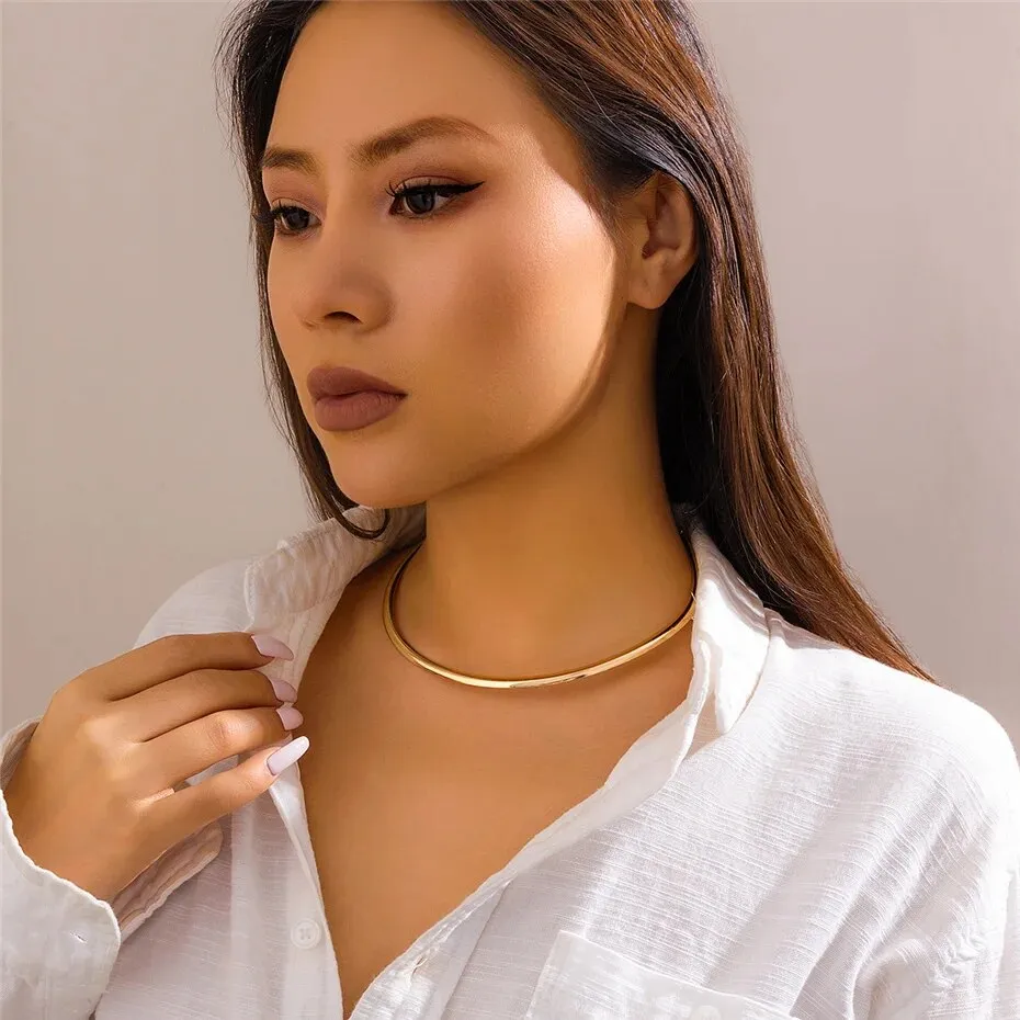 Flytonn-Whitney Vintage Iron Metal Torques Choker Necklace