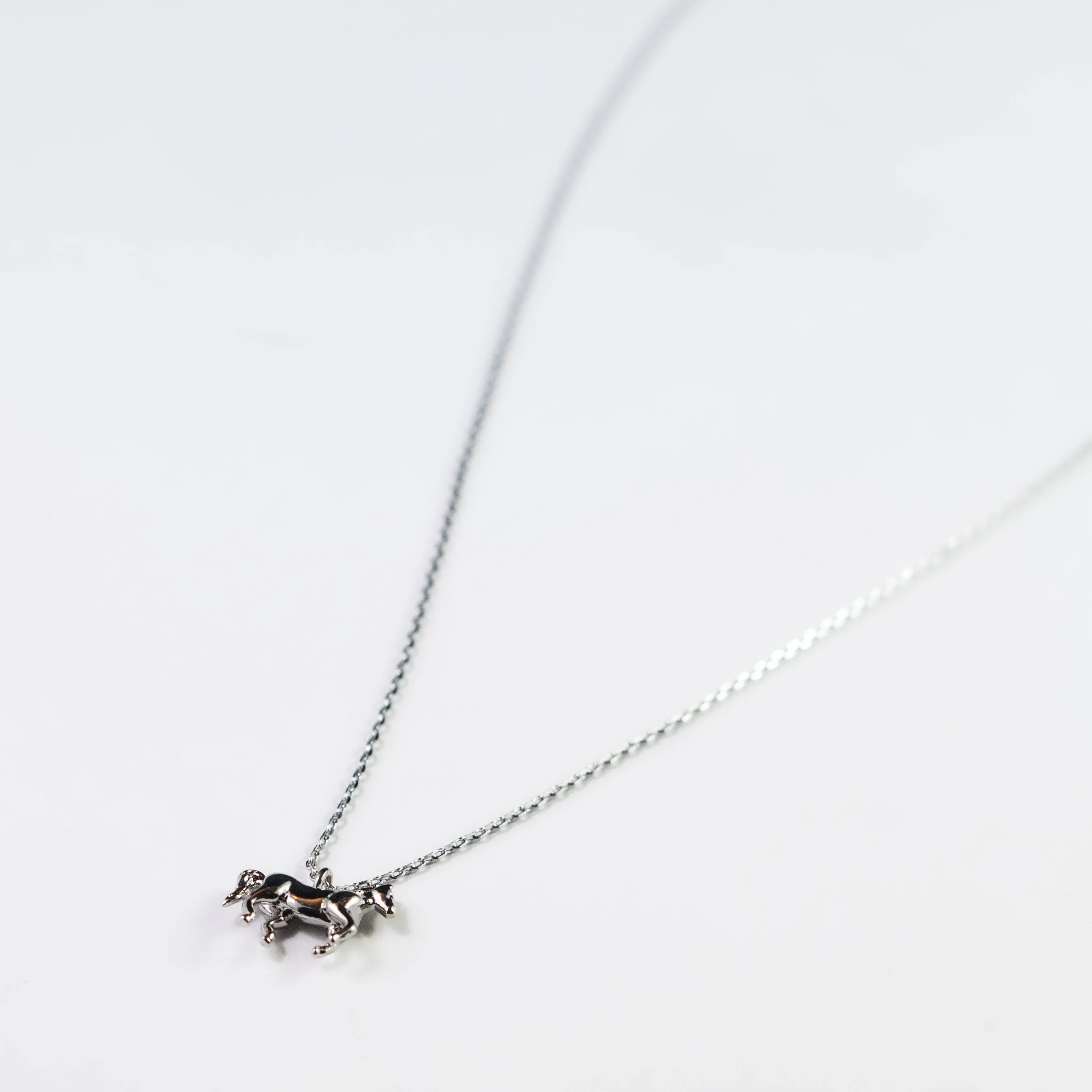 Life in the Saddle Necklace