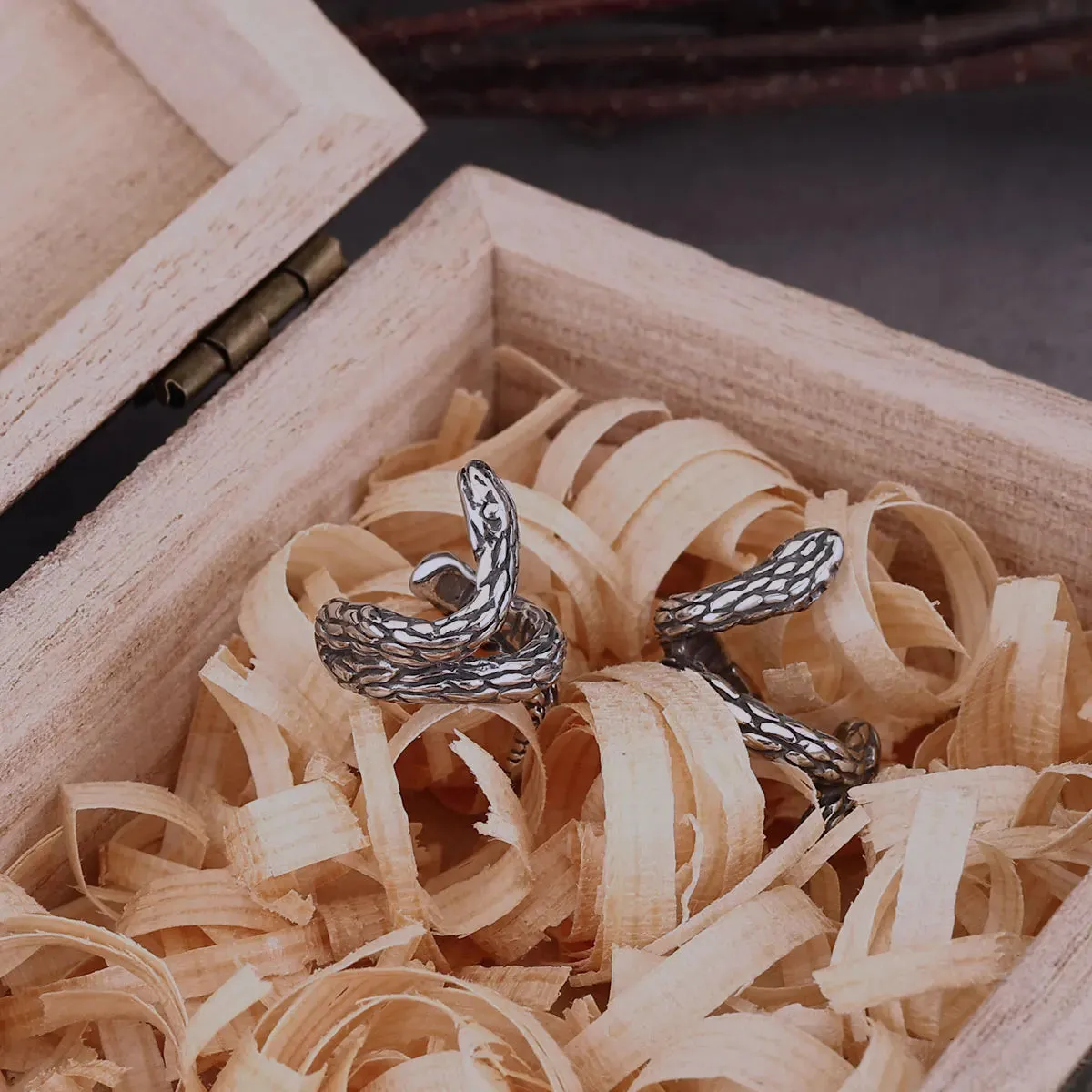 New Stainless Steel Snake Clip Viking Earrings