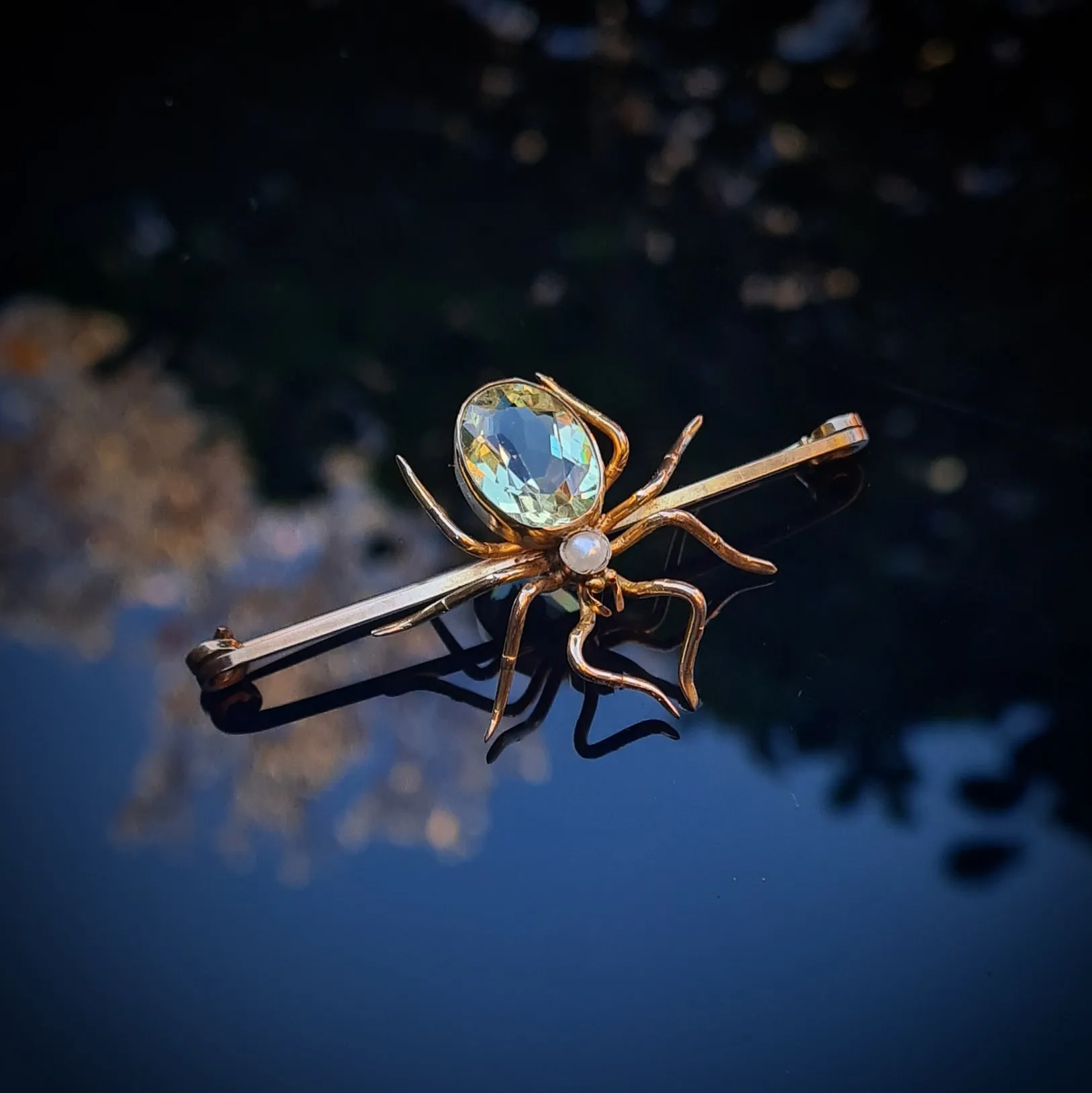 Vintage Spider Brooch